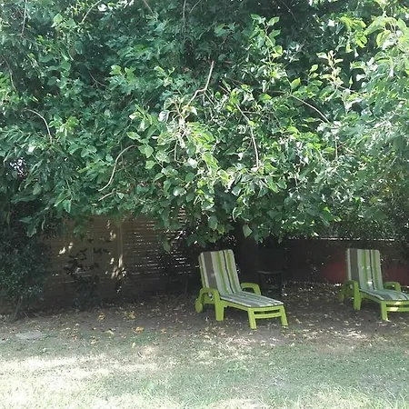 U Nespulu Santa-Lucia-di-Moriani