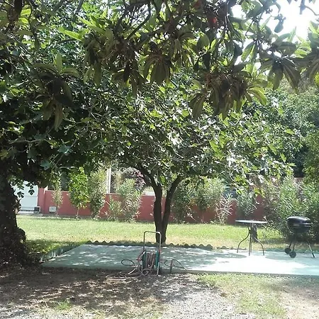 U Nespulu *